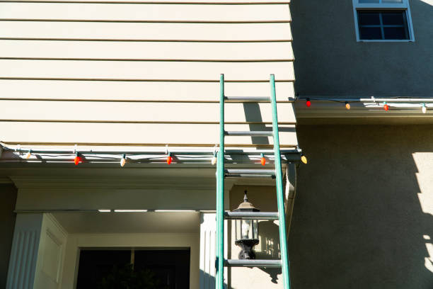 Best Custom Siding Design  in Broadlands, VA