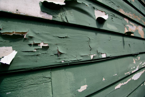 Best Fiber Cement Siding Installation  in Broadlands, VA