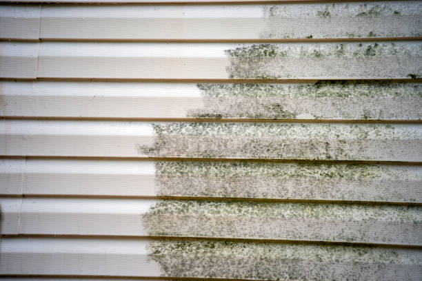 Best Stone Veneer Siding  in Broadlands, VA