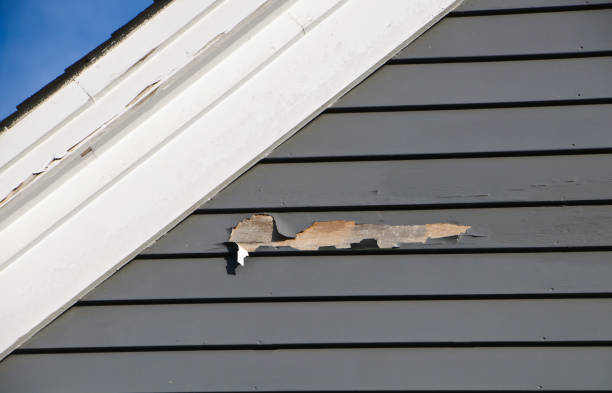 Best Siding for New Construction  in Broadlands, VA