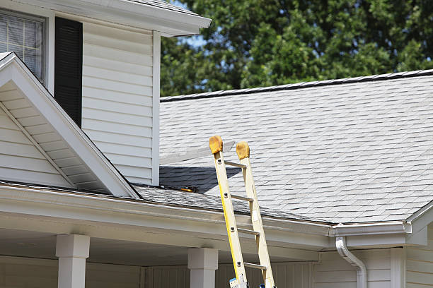 Best Storm Damage Siding Repair  in Broadlands, VA