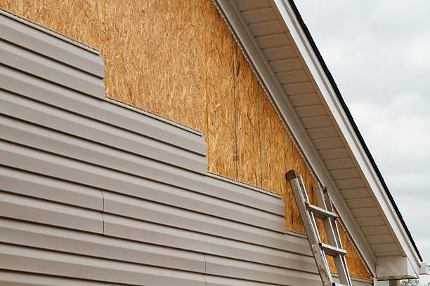 Best Residential Vinyl Siding Installation  in Broadlands, VA